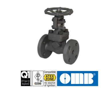 Forged Gate valve - 300 lbs A105N - TRIM 5 131 A105N Tr5 GATE V. #300 RF 131