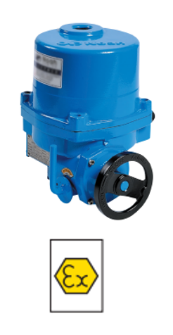 Elec. actuated v. components NA series actuators NA-X EL.ACT. IP67 NAX