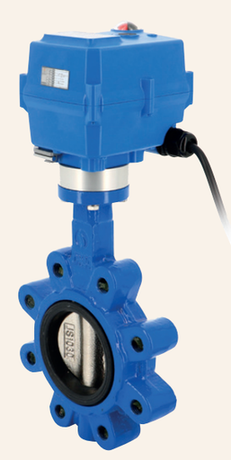 Electric actuated cast iron butterfly valves GG25 Butterfly Valve TCR series 1133 + TCR ELEC. ACT. 1133TC